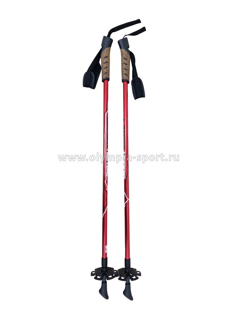 Палки для скандинавской ходьбы Larsen Nordic П раздвижные 90-140см