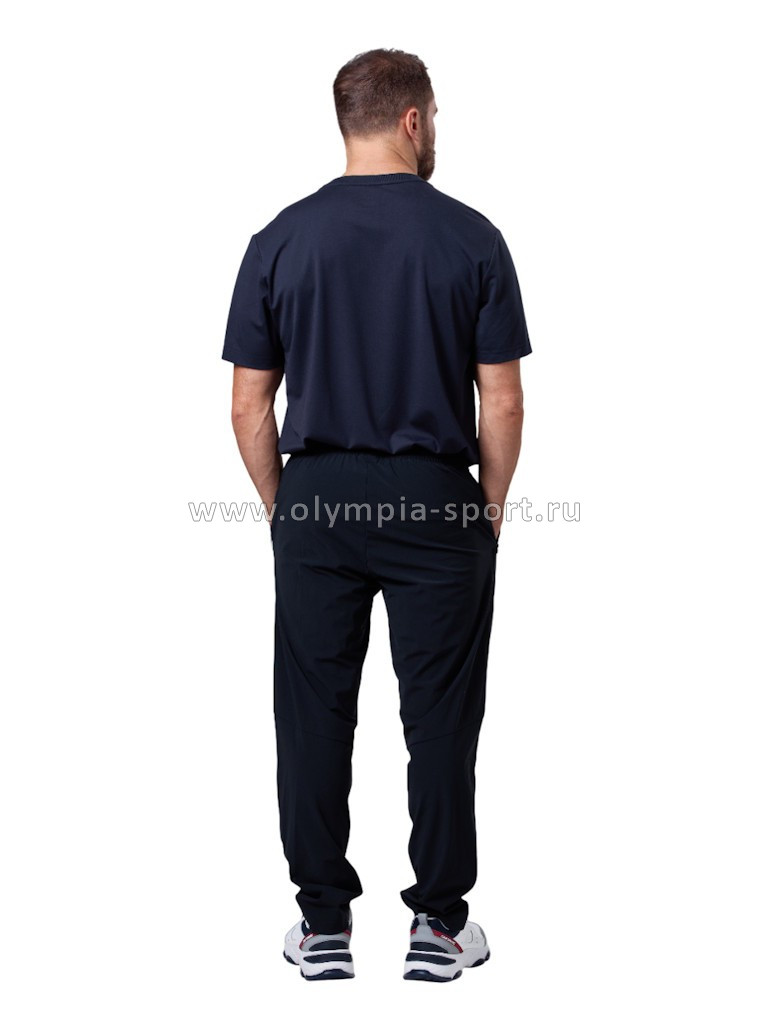 Брюки мужские Strobbs E2440-3 черный