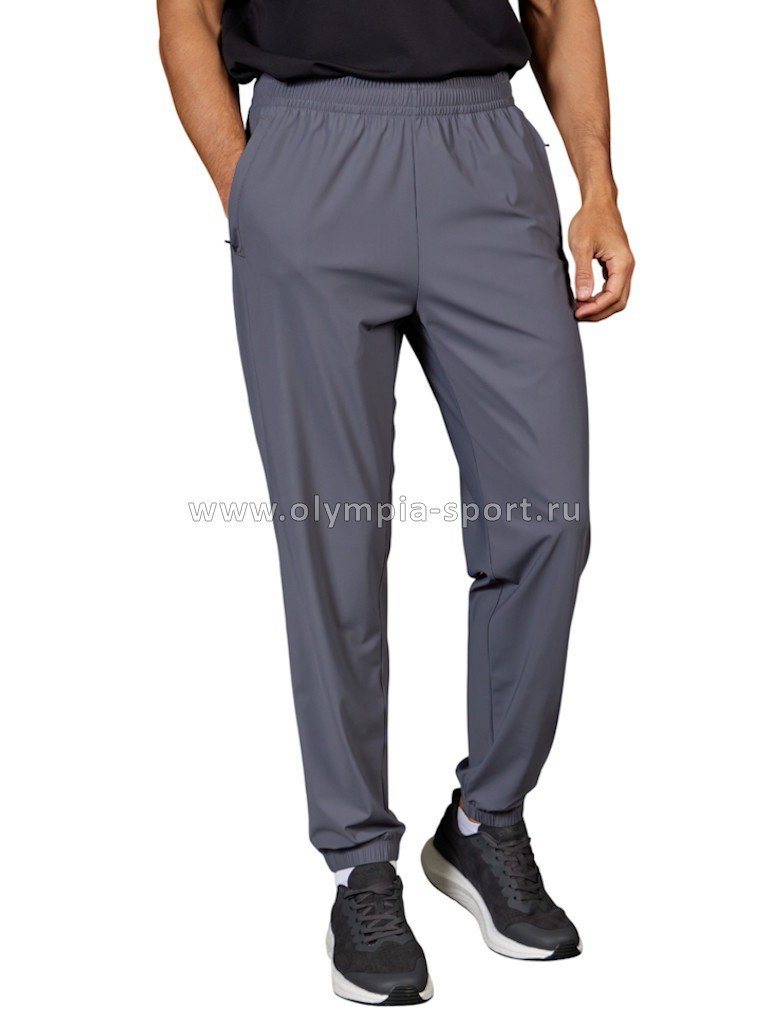 Брюки мужские Strobbs E2315-1 серый