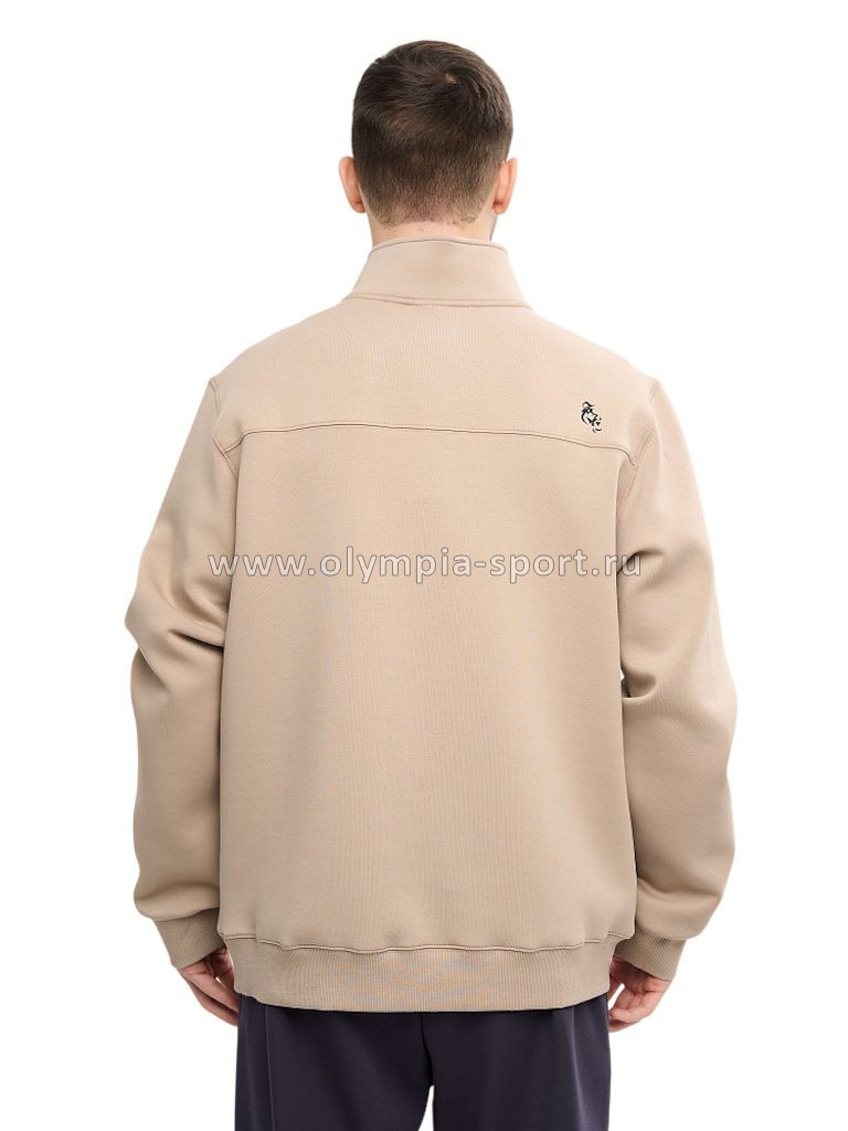 Толстовка мужская Strobbs E2417-9 бежевый